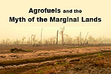 Logged peat forest (“Marginal land”) in Indonesia. Photo: Rita Sastrawan